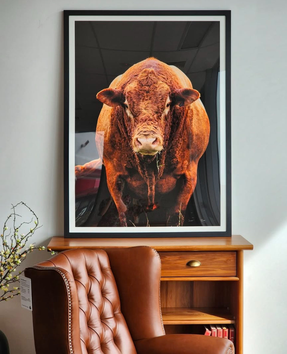 Senior A0 Ltd Edition Print Framed in Black PIck Up Only Christchurch