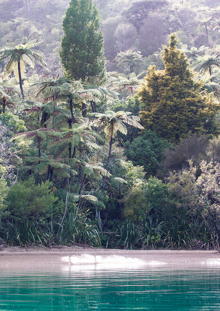Marlborough Sounds Portrait