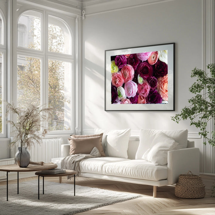 Ranunculus Rhapsody Landscape