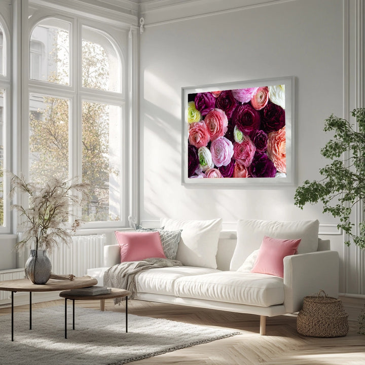 Ranunculus Rhapsody Landscape