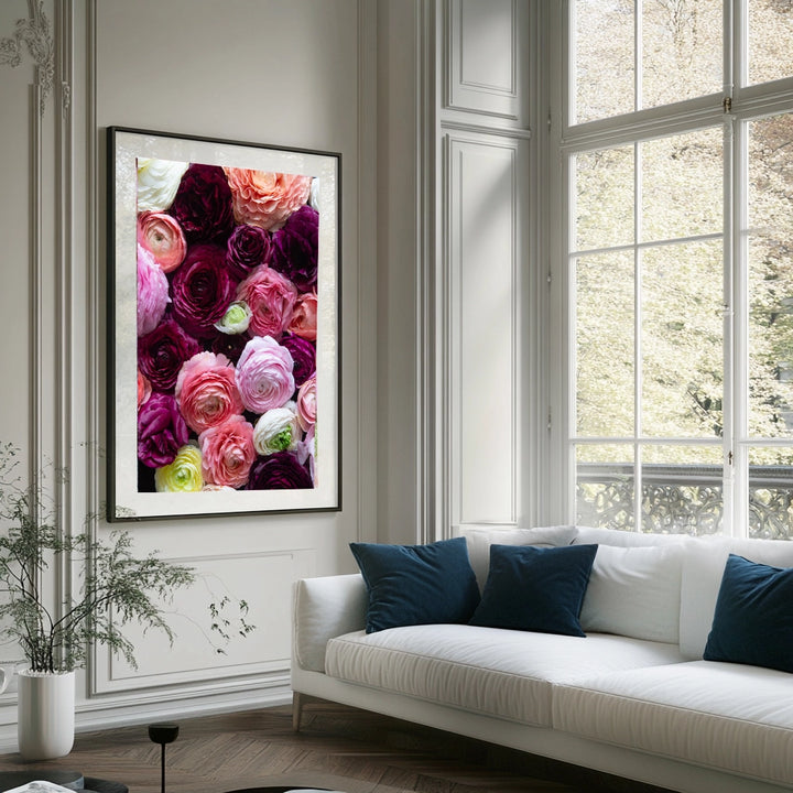 Ranunculus Rhapsody Portrait