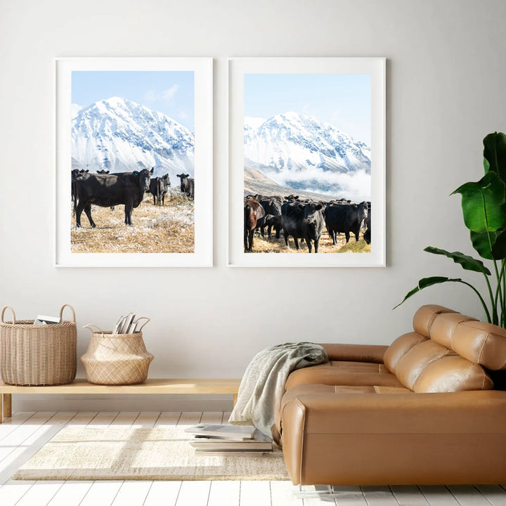 Set of 2 - Winter Cows
