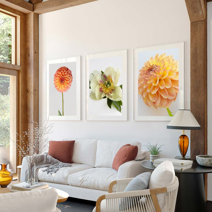 Set of 3 - Dahlia Prints