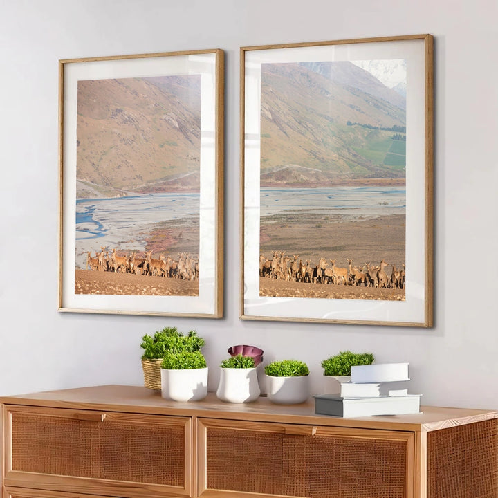 Set of 2 - Rakaia Deer