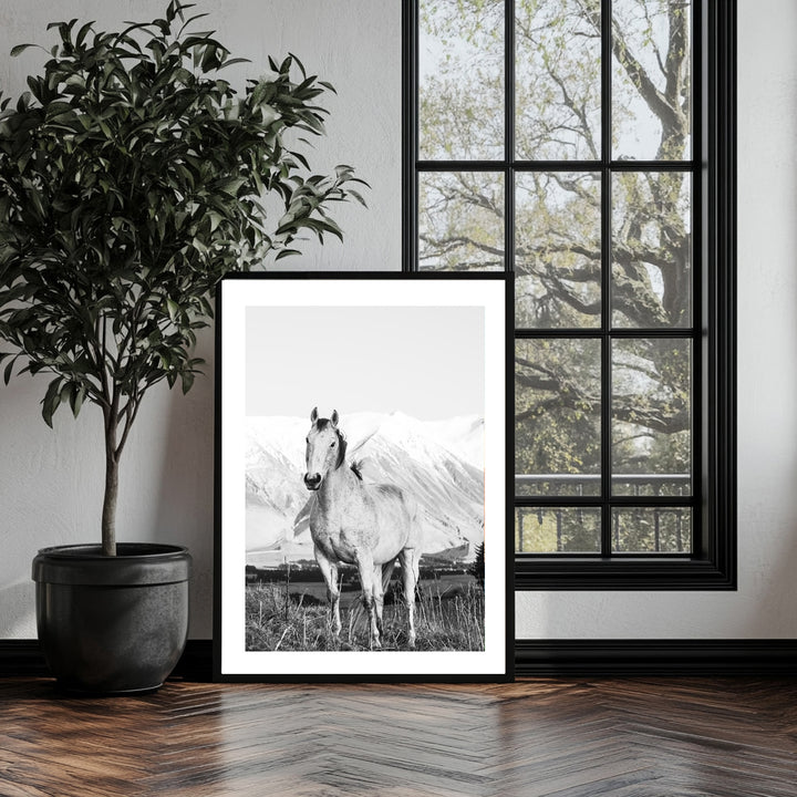 White Horse B&W