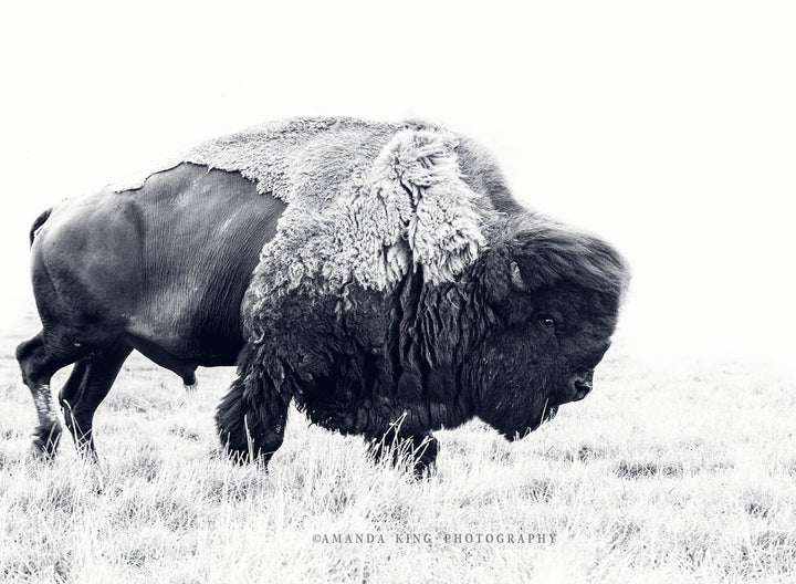 Old Man Geromino B&W