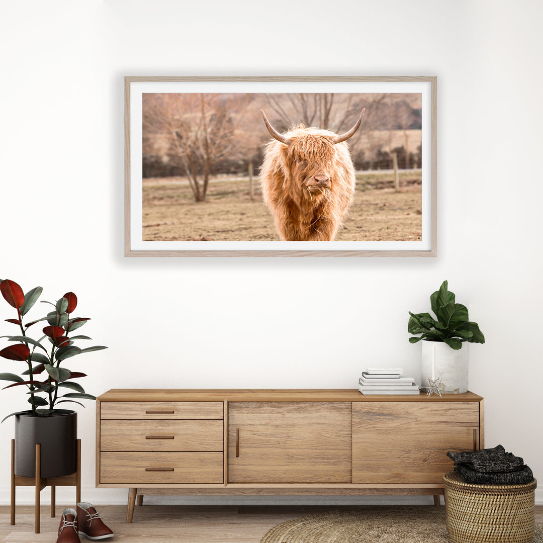 Scruffy Highland Digital Download