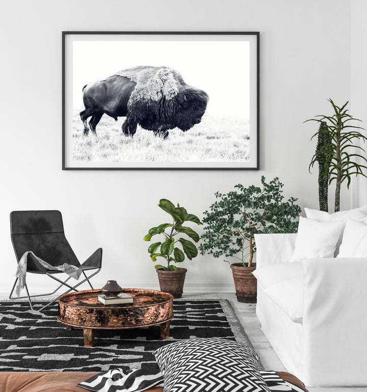 Old Man Geromino B&W