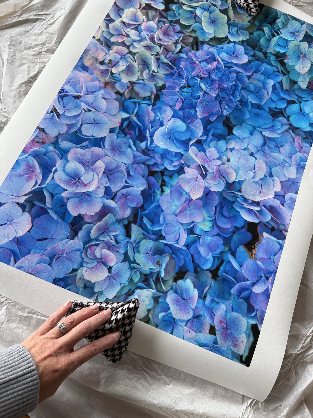Canvas Prints vs Fine Art Prints: How to Choose the Right Wall Art