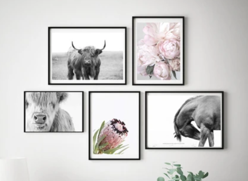 Quick tips for hanging your By The Horns print