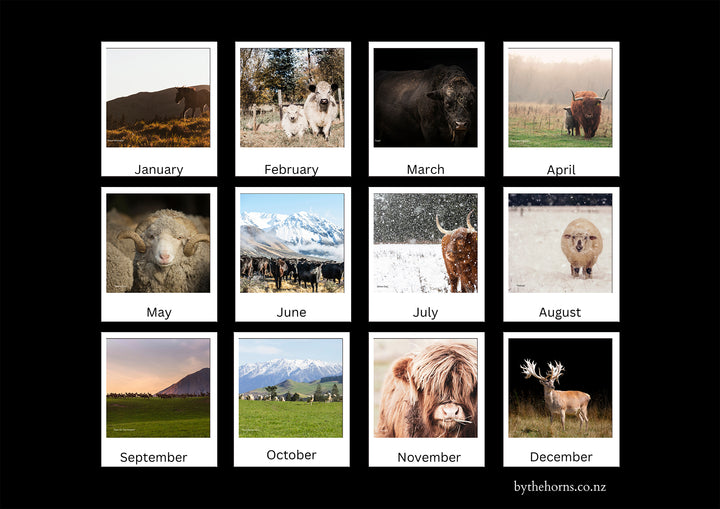 Animal Wall Calendar 2025