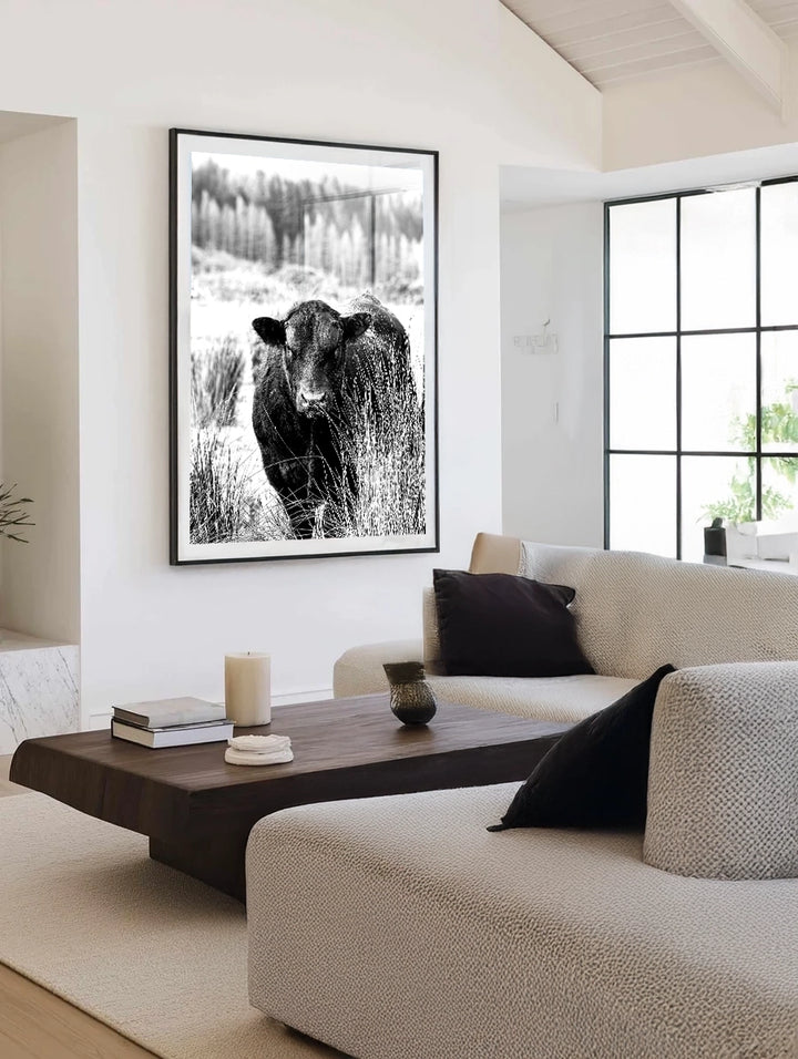 Bull Behind Tussock - In Black and White