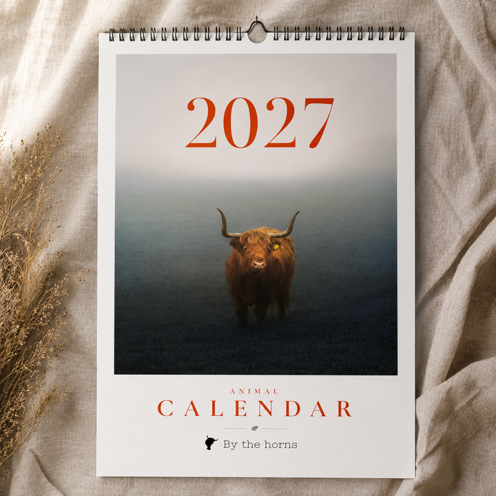 Animal Wall Calendar 2027 Pre Order