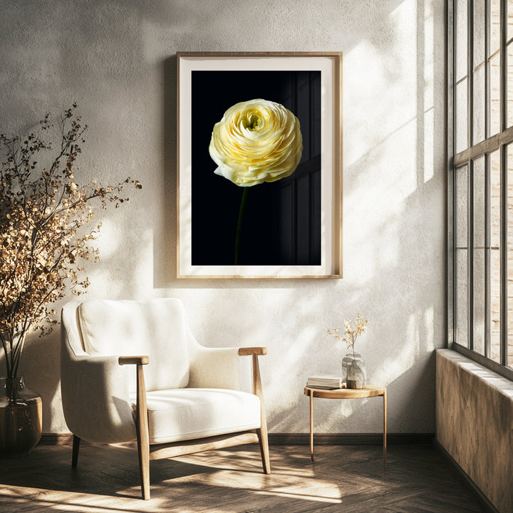 Citrus Bloom
