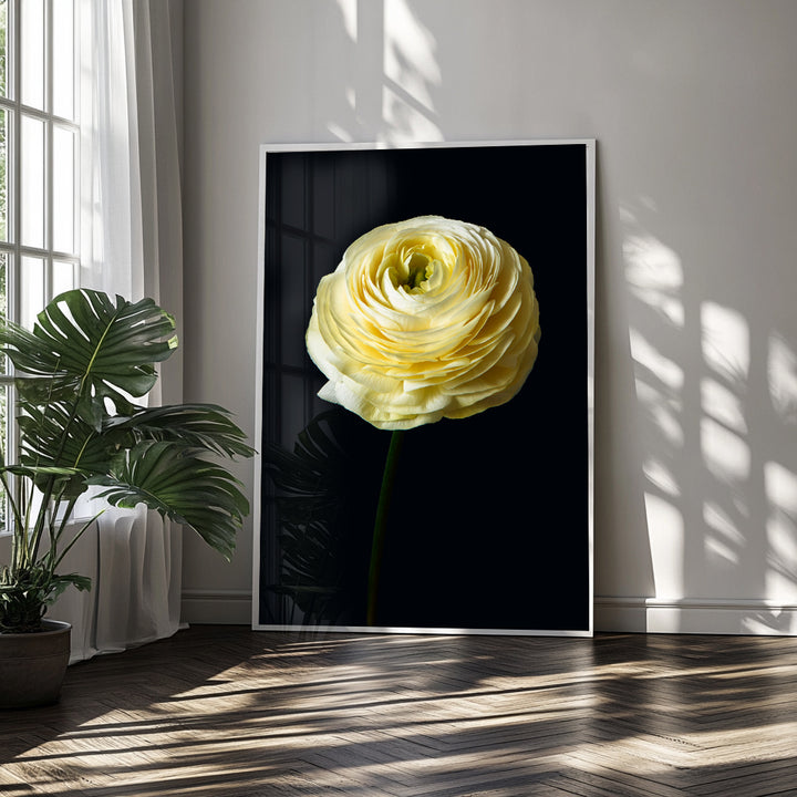 Citrus Bloom
