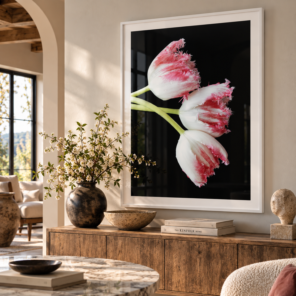 A large framed wall art print featuring three white tulips with pink ruffled edges on a black background, displayed above a wooden console in a styled living room.