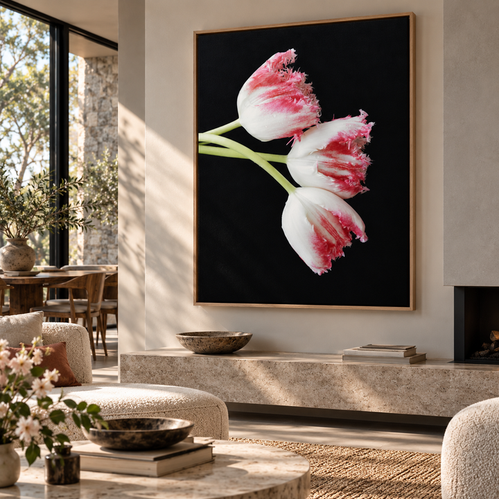 A framed wall art print showing three white tulips with pink-red ruffled edges on a black background, displayed in a modern living room setting.
