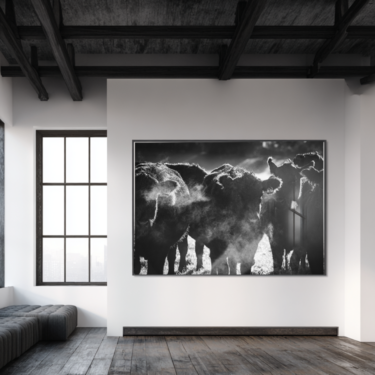 Gathering - Limited Edition