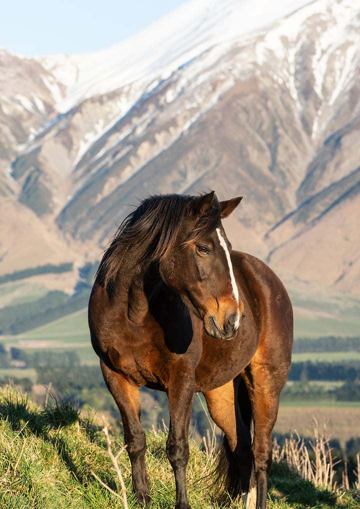 High Country Soul