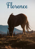Horse At Sunrise Personalised Print