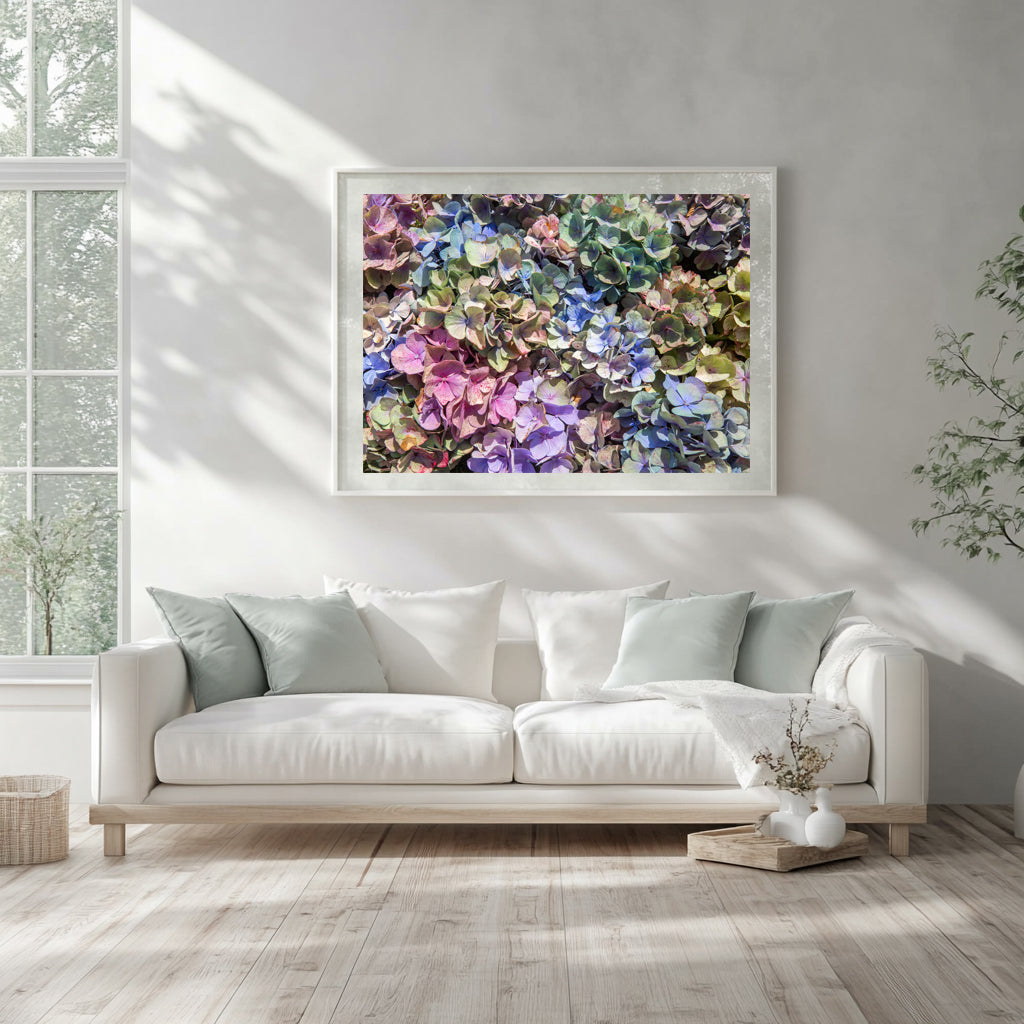 La Vintage Hydrangea in Landscape