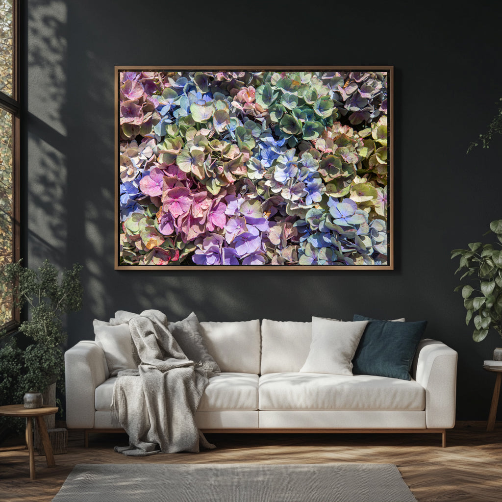 La Vintage Hydrangea in Landscape