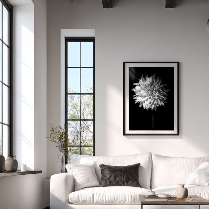 Lumen - Limited Edition
