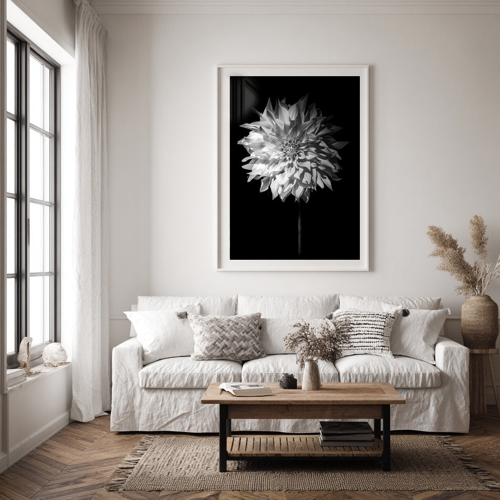 Lumen - Limited Edition