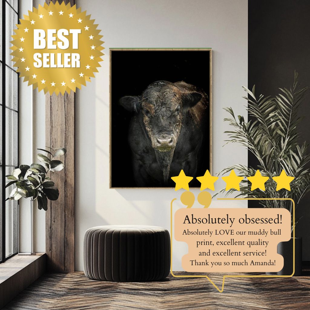 The Muddy Bull