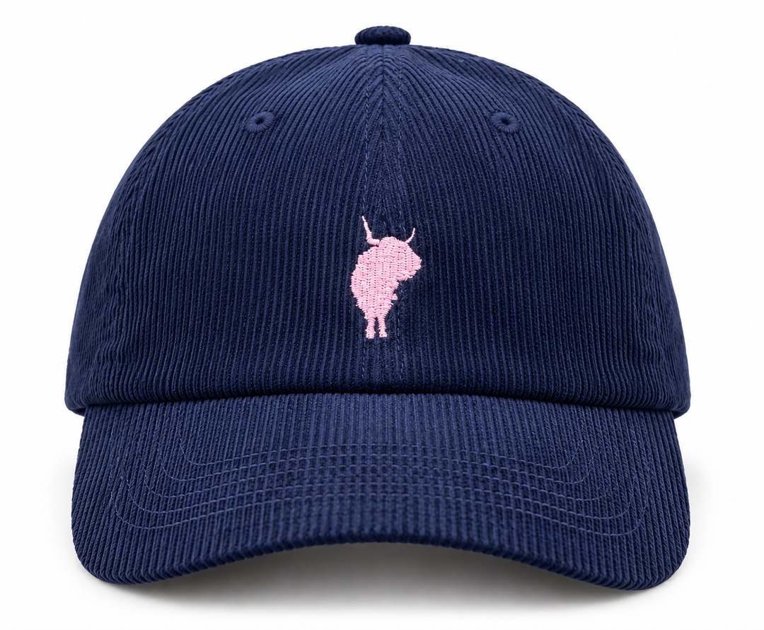 #color_navy