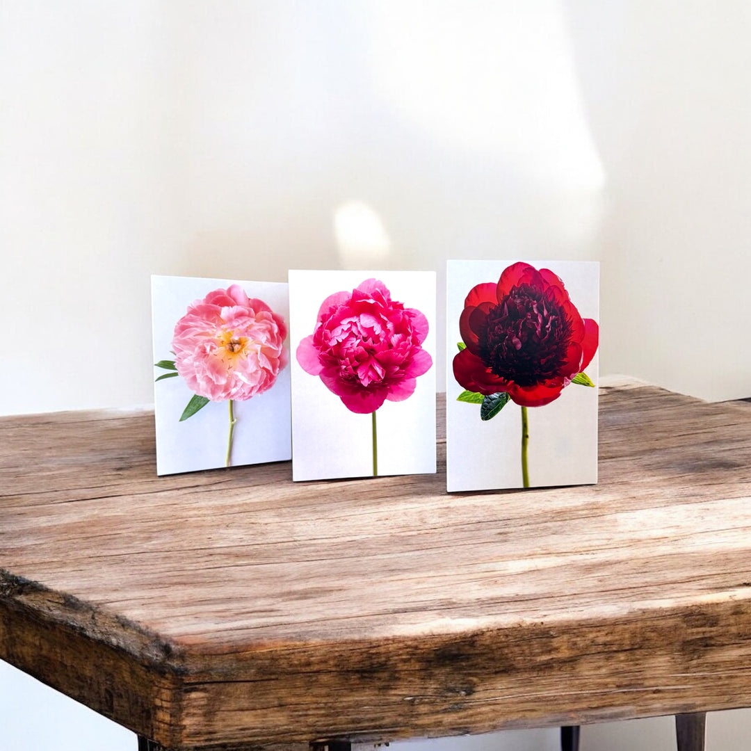Free Peony Greeting Card Set
