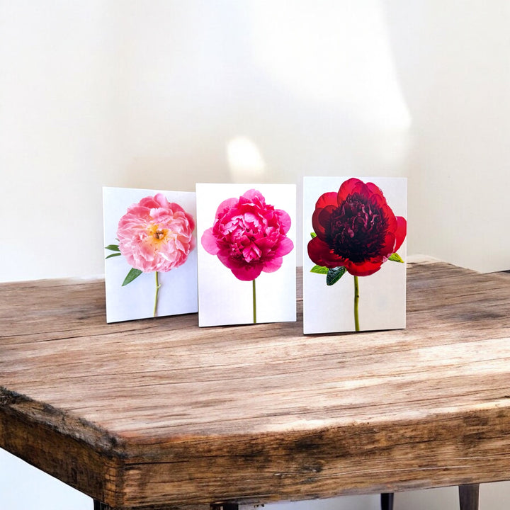 Free Peony Greeting Card Set