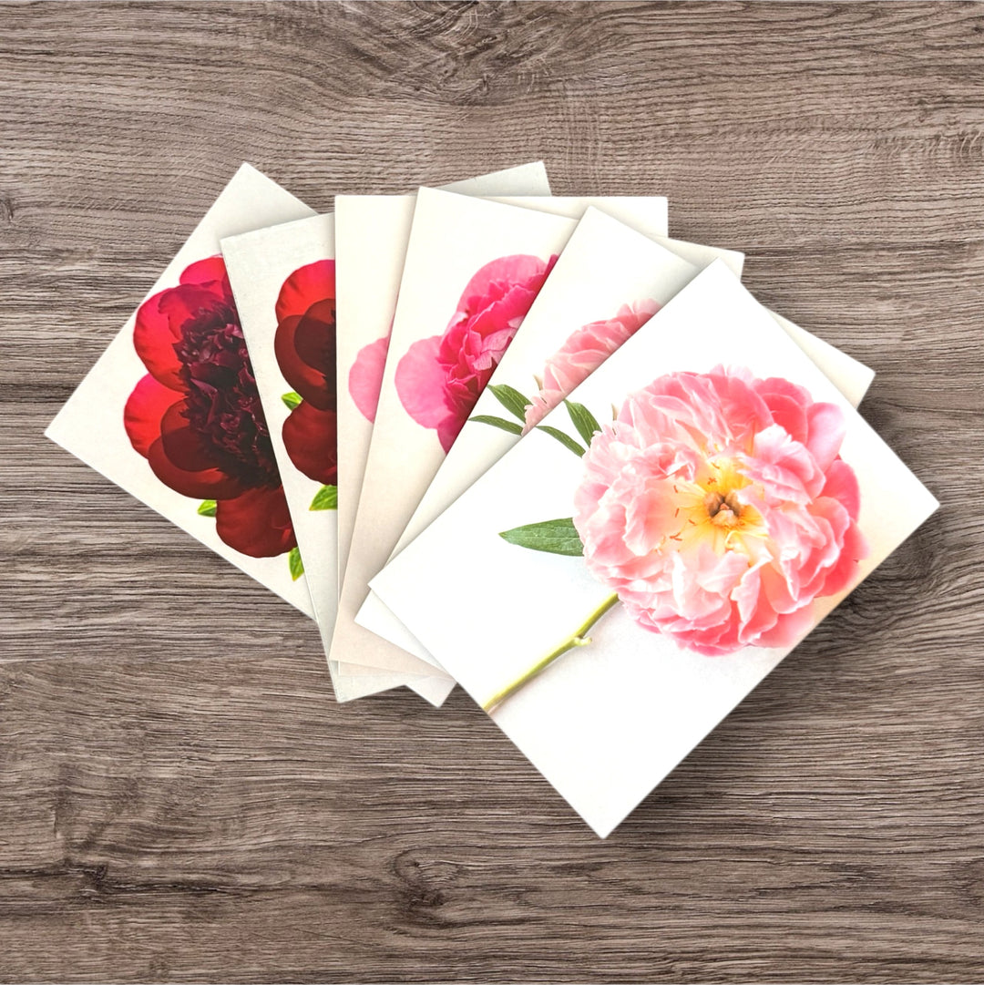 Free Peony Greeting Card Set