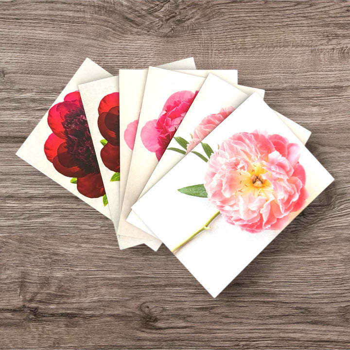 Free Peony Greeting Card Set