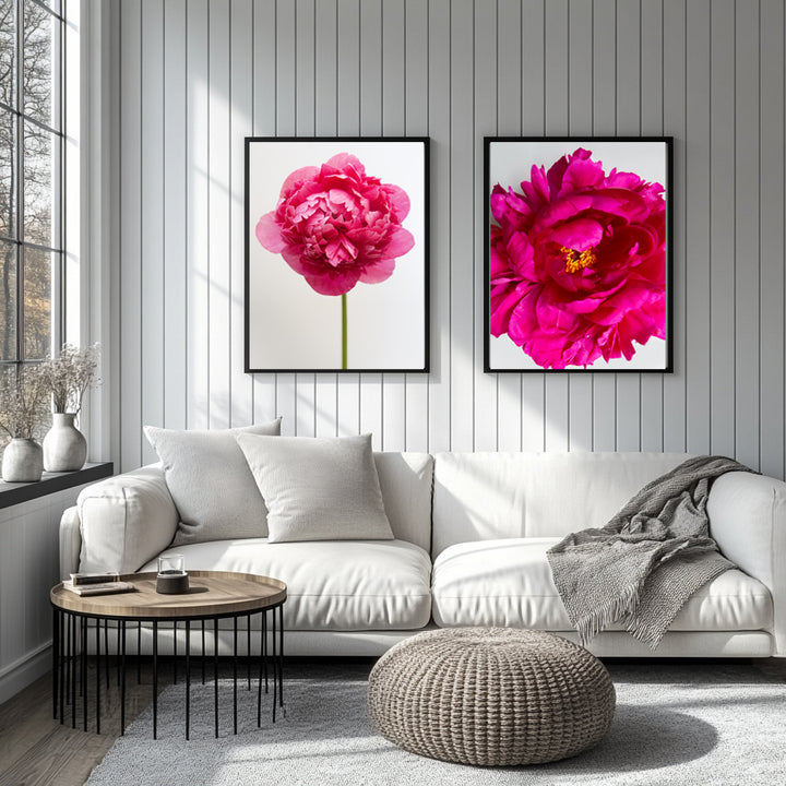 Pink Peony Pair 1