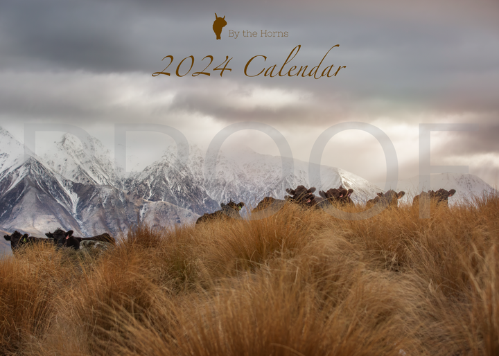 Wall Calendar 2024