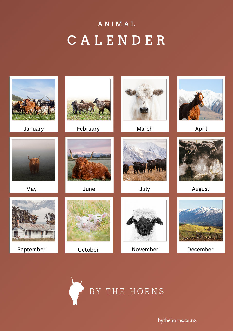Animal Wall Calendar 2027 Pre Order