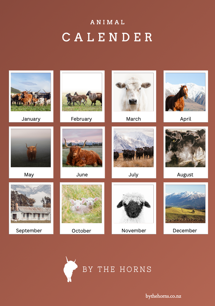 Animal Wall Calendar 2027 Pre Order