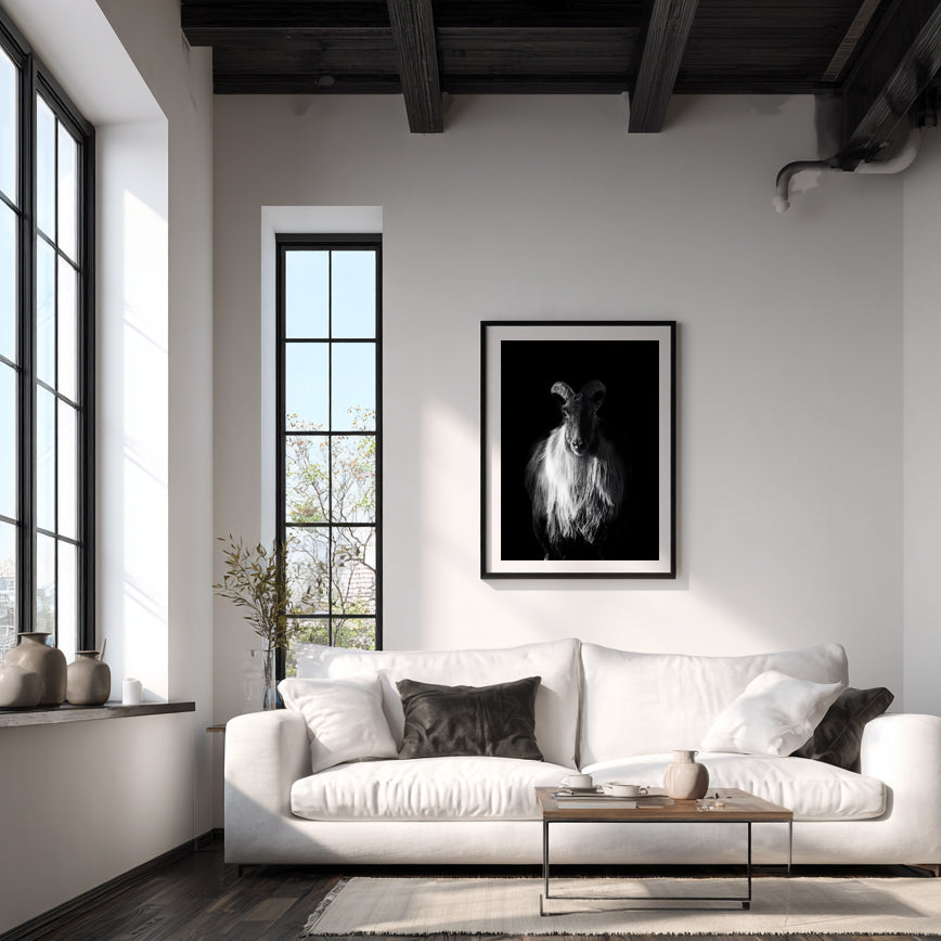 Sentinel- Limited Edition