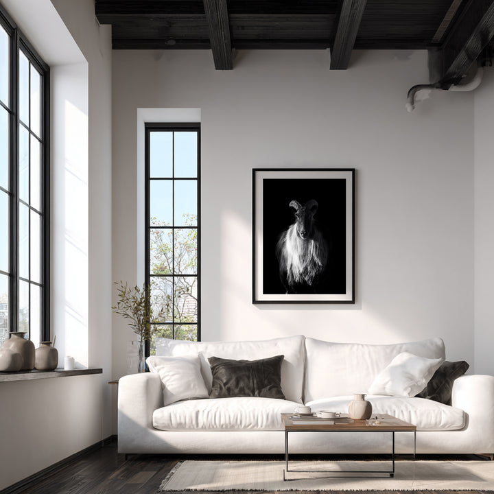 Sentinel- Limited Edition