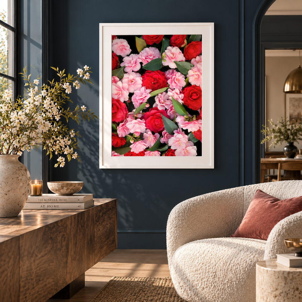 Front view of a red and pink camellia print in a white frame with a white border on a dark blue wall.