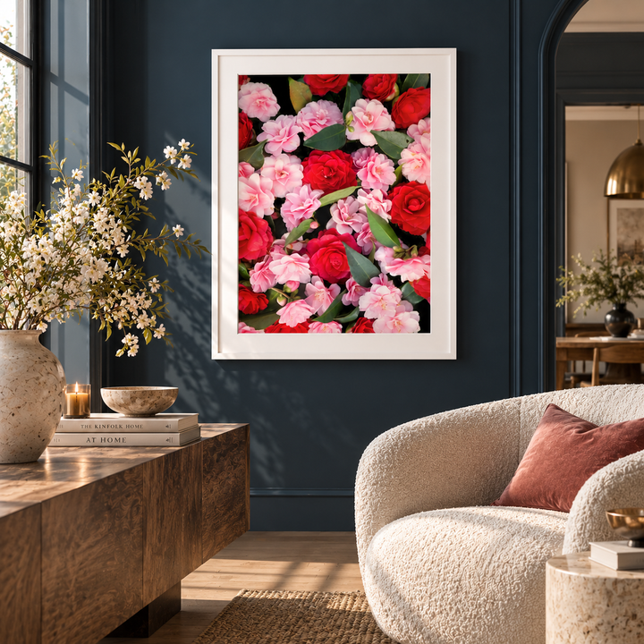 Front view of a red and pink camellia print in a white frame with a white border on a dark blue wall.