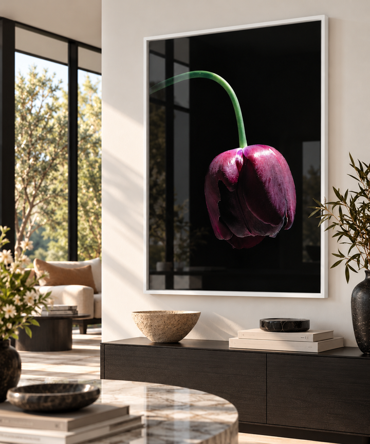 A framed wall art print featuring a single dark purple tulip with a green stem on a black background, displayed in a modern living room setting above a dark wood console table.