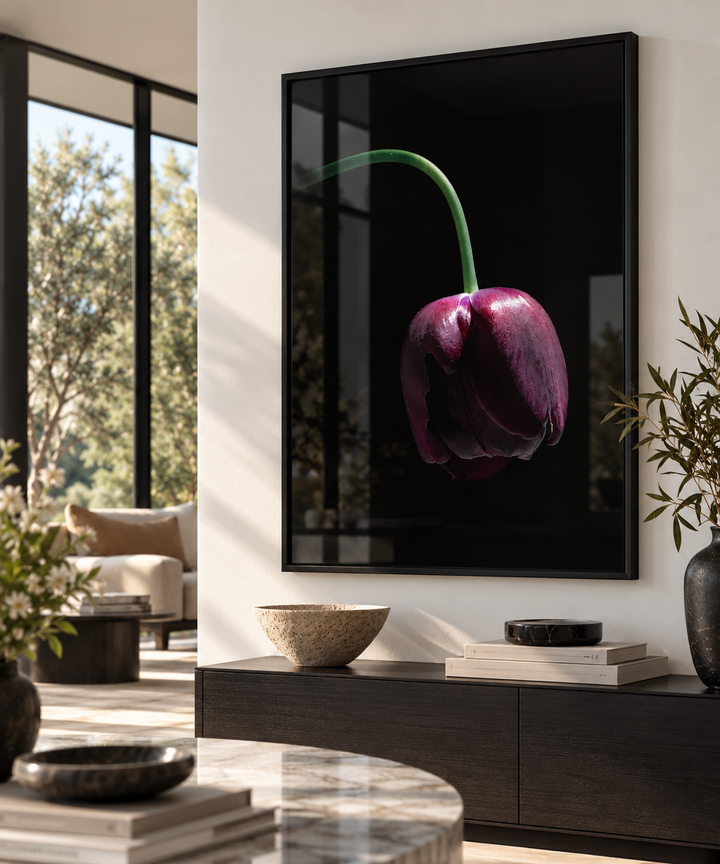 A framed wall art print featuring a single dark purple tulip on a black background, displayed in a modern living room setting above a dark wood console table.