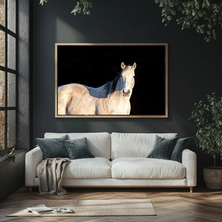 Twilight Muse