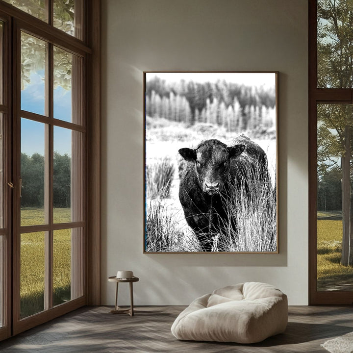 Bull Behind Tussock - In Black and White