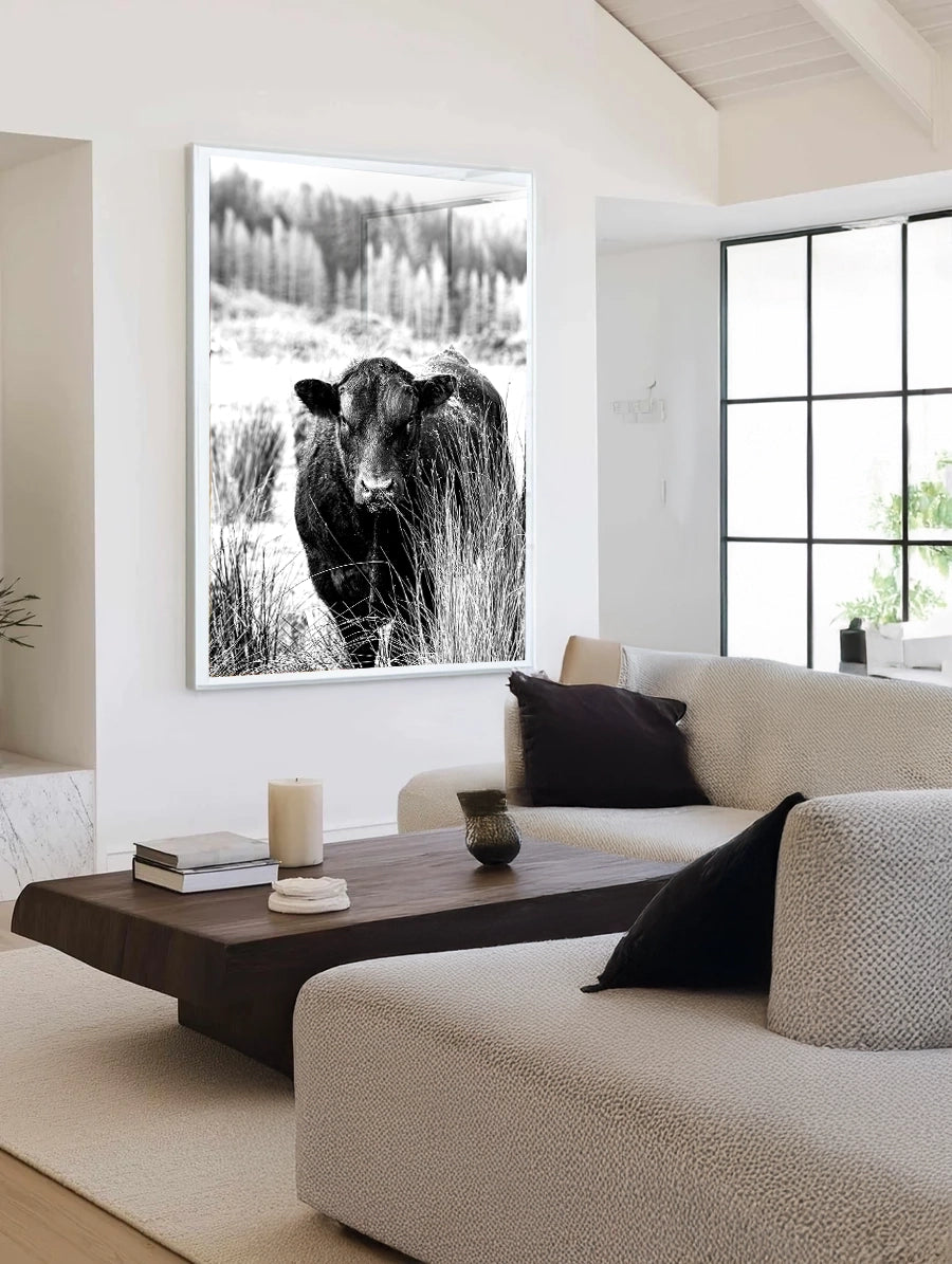 Bull Behind Tussock - In Black and White