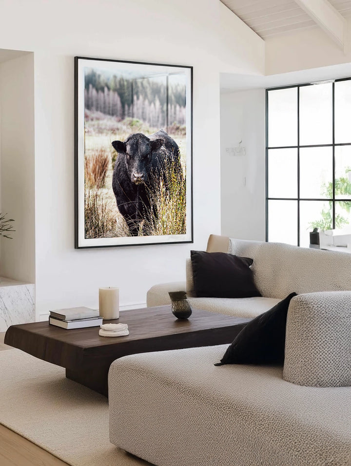 Bull Behind Tussock - In Colour