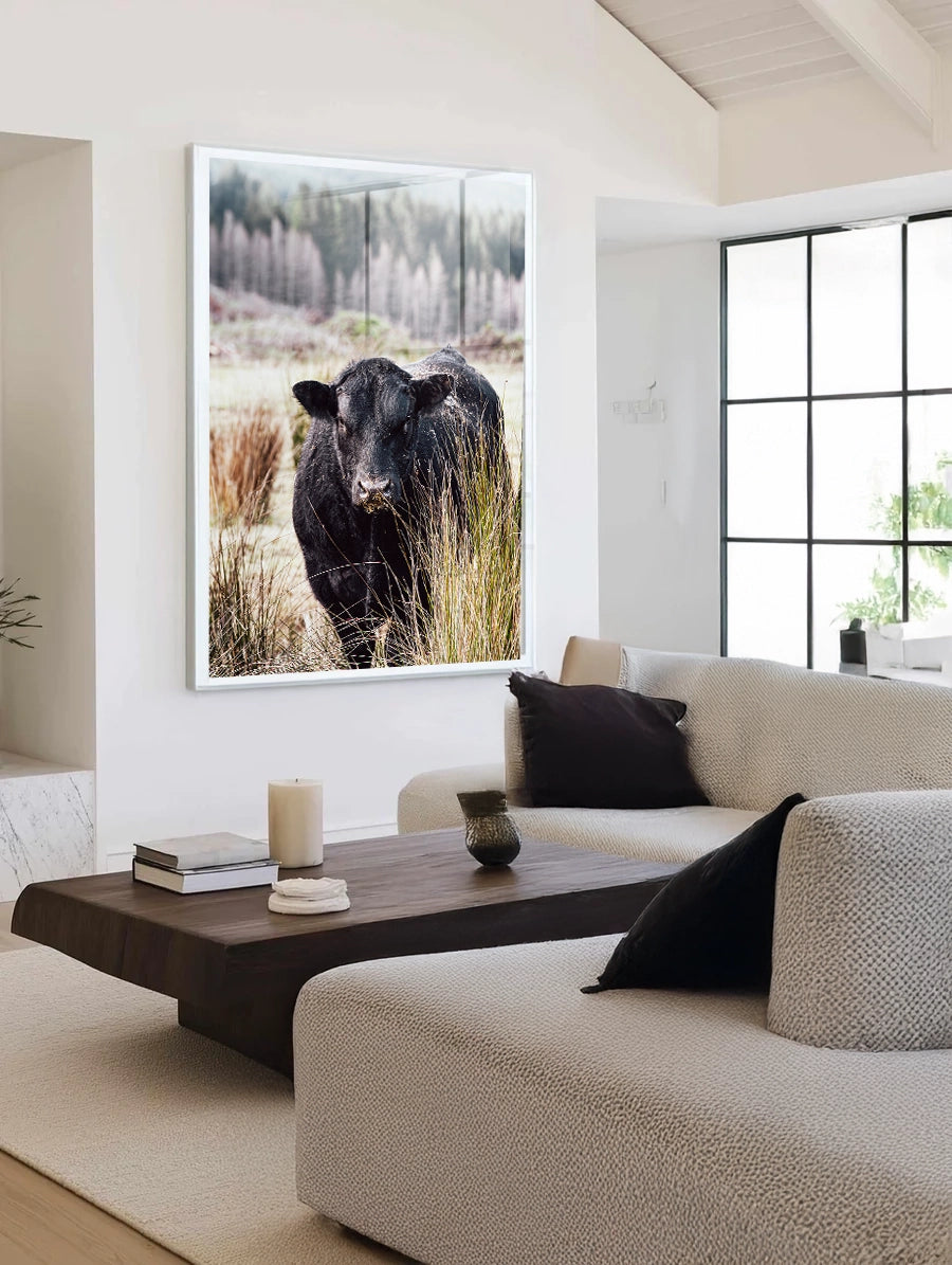 Bull Behind Tussock - In Colour