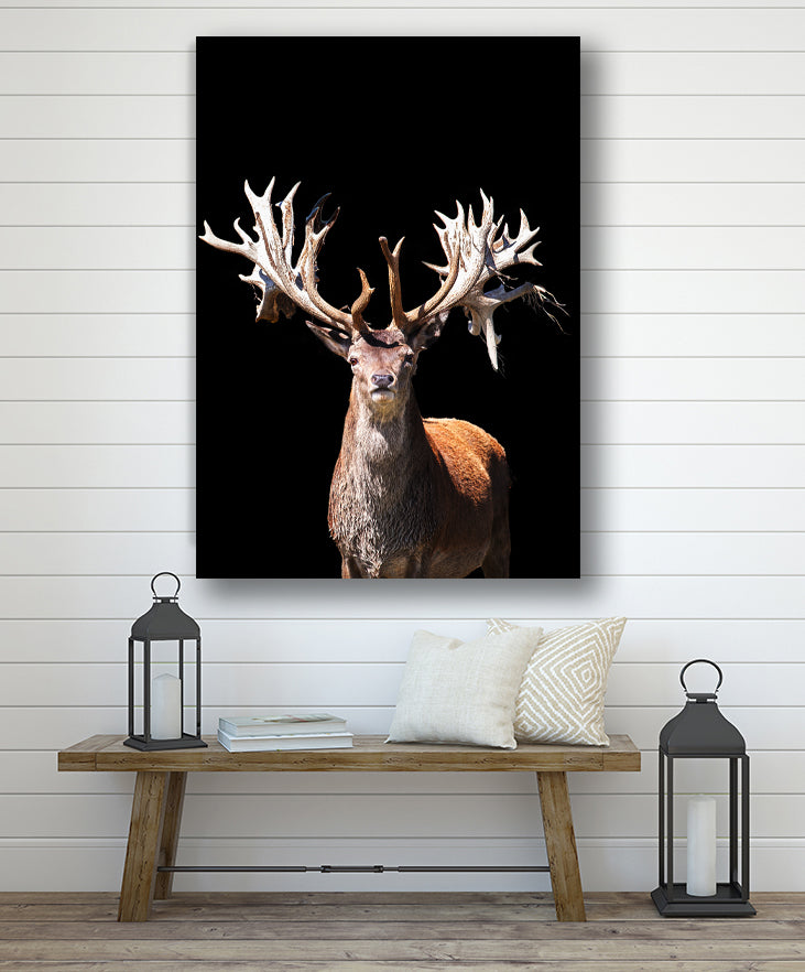 Fine Art Prints by Amanda King – By the horns